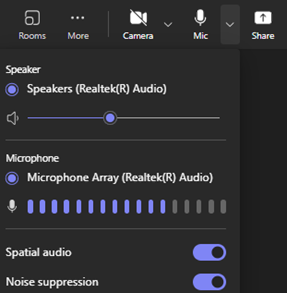A screenshot of the audio panel in Teams.