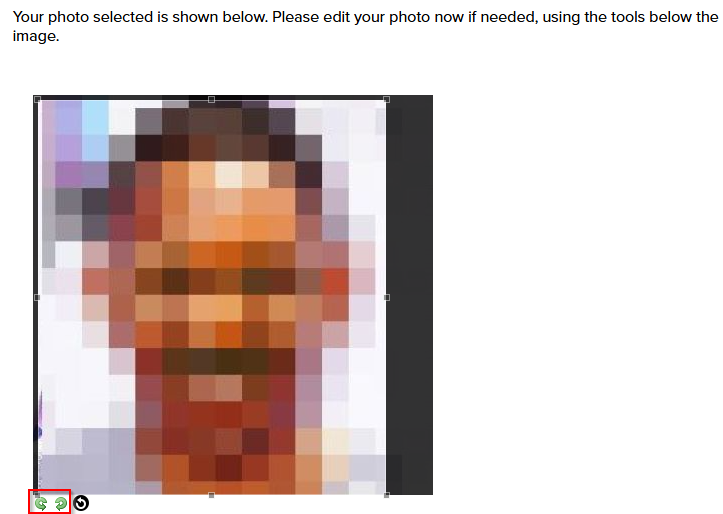 The image preview with the cropping rectangle. The rotation tools are also highlighted.
