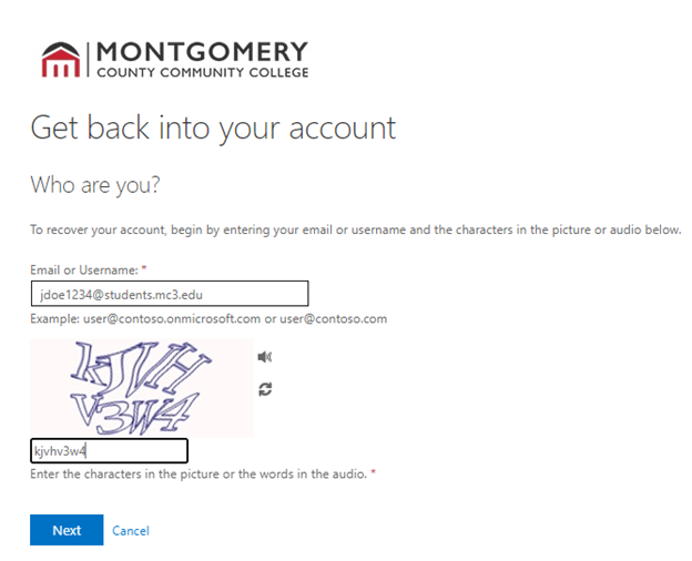 Email and captcha screen The email entry field with a captcha below it.