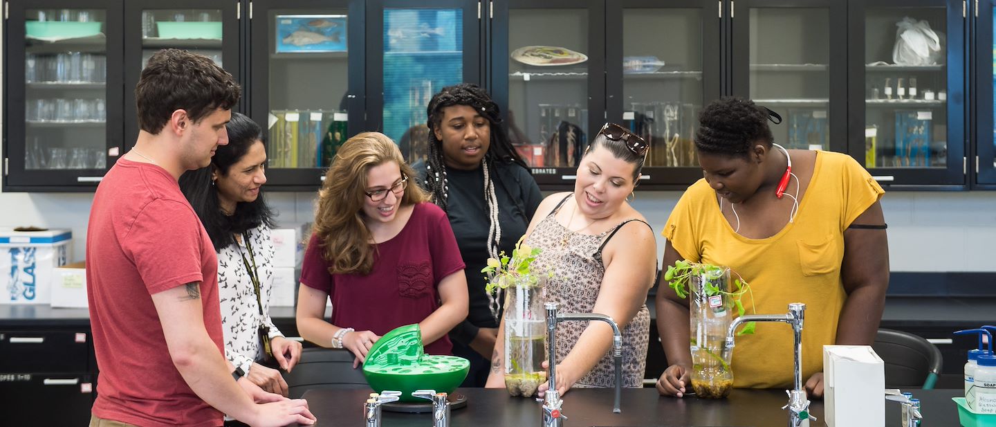 Science Technology Engineering and Mathematics Montgomery County Science Technology Engineering and Mathematics Montgomery County