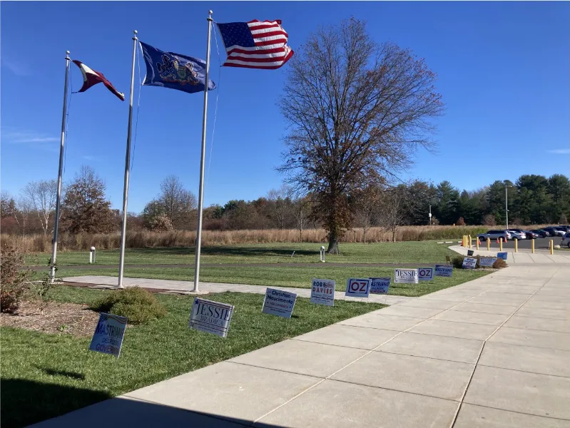 a group of flags that are in the grass