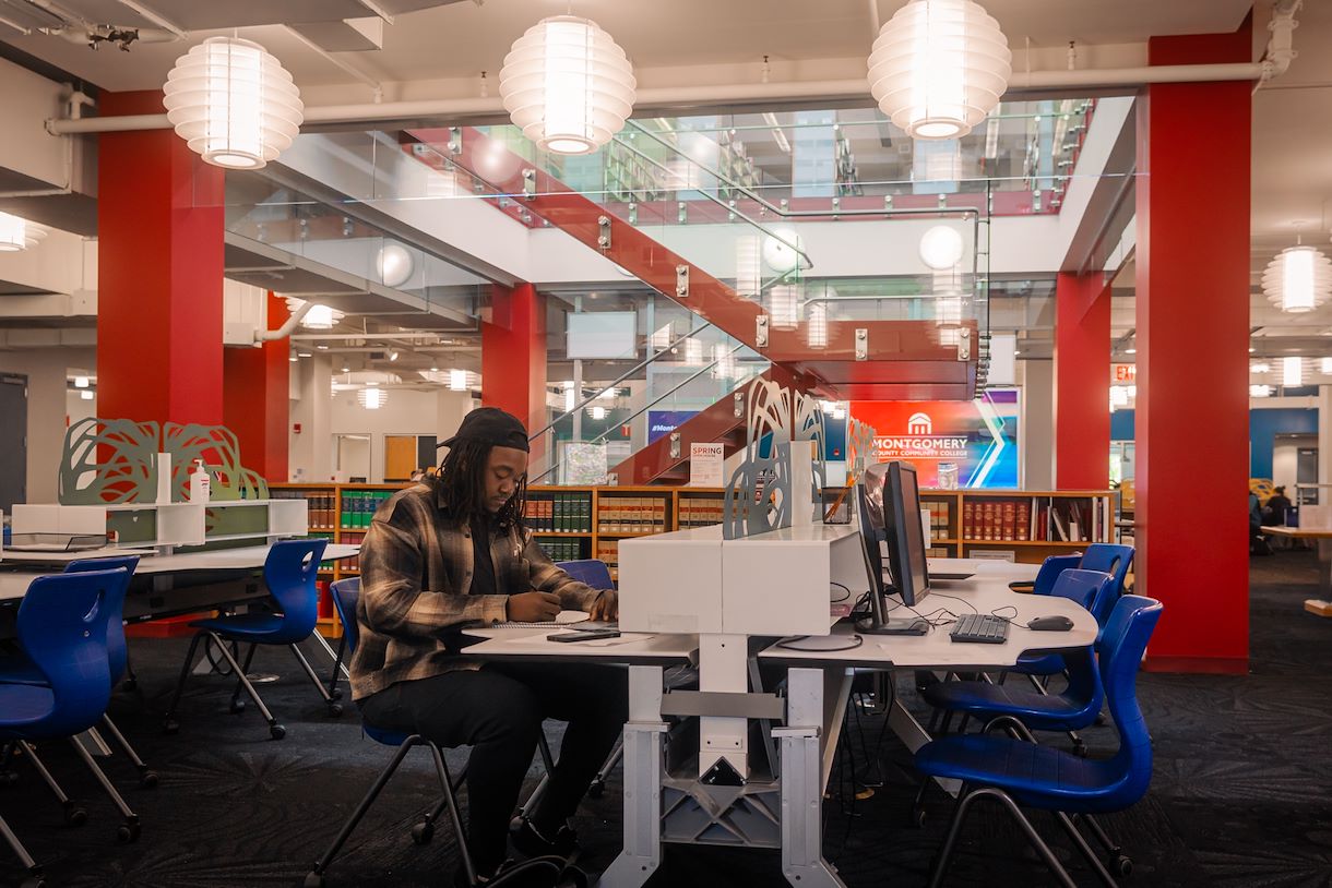 Image of student studying within the College Hall Library at the Blue Bell Campus