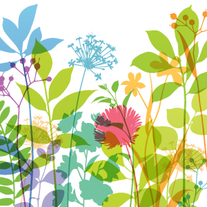 Illustration of colorful Spring flowers on white background