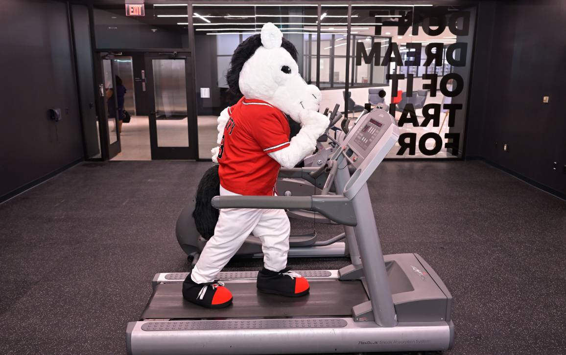 Monty on a treadmill
