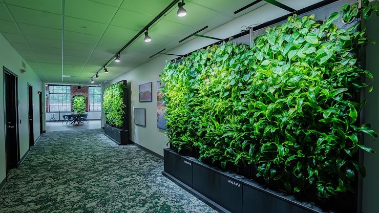 Plant Wall