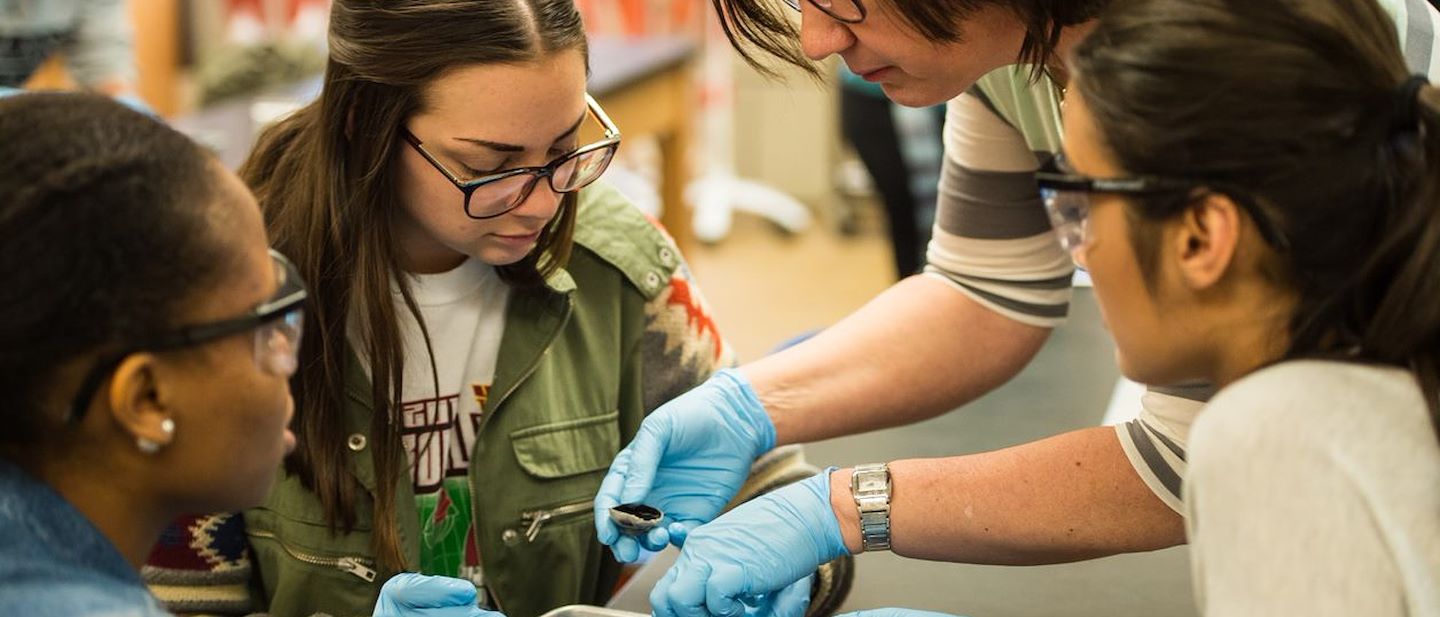 Life Sciences Montgomery County Community College