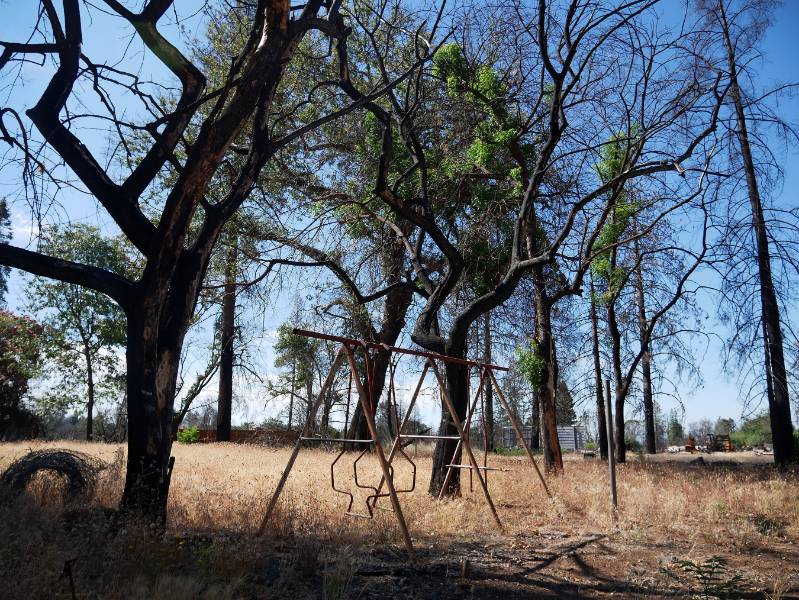 A run down swing set surrounded by bare trees and tall brown grass
