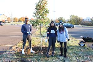 Trees help to improve the campus and the environment.