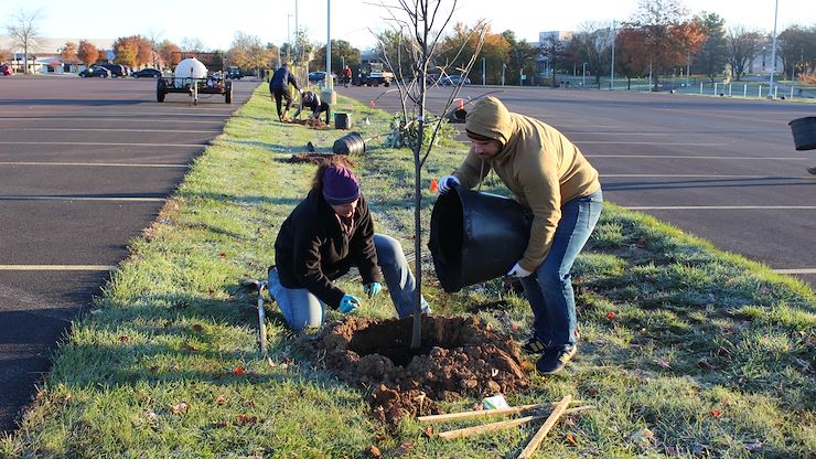 Students and employees volunteered to plant more than 63 trees at MCCC's Central Campus in Blue Bell. Photo by Amanda Conlan