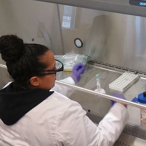 Amber Sawyer working in a laboratory.