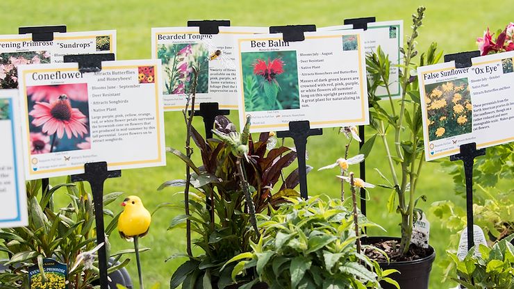 Montgomery County Community College hosted a virtual Earth Day celebration, which promoted ongoing green projects on campus and in the community.