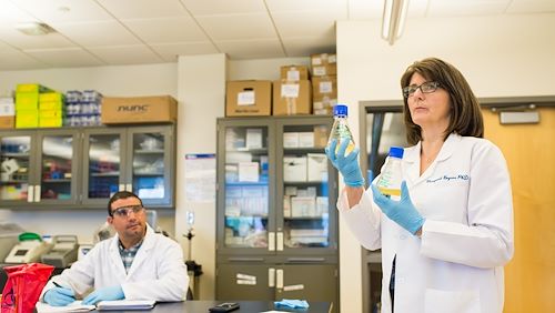 Biotechnology Associate Professor Dr. Margaret Bryans wrote the National Science Foundation grant awarded to Montgomery County Community College for gene and cell therapy workforce development.