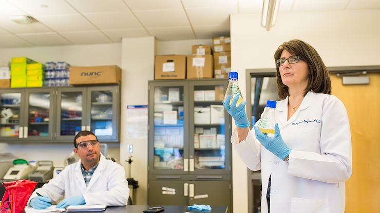 Biotechnology Associate Professor Dr. Margaret Bryans wrote the application that led to a $573,347 grant from the National Science Foundation to Montgomery County Community College for gene and cell therapy workforce development.