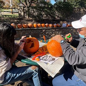 pumpkin carving