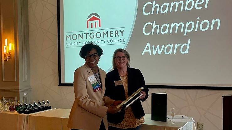 Chamber Champion Award