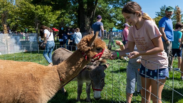 petting zoo