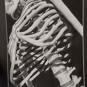 Skeletal Study by Cassidy Colden