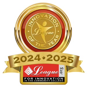 Innovation of the Year badge